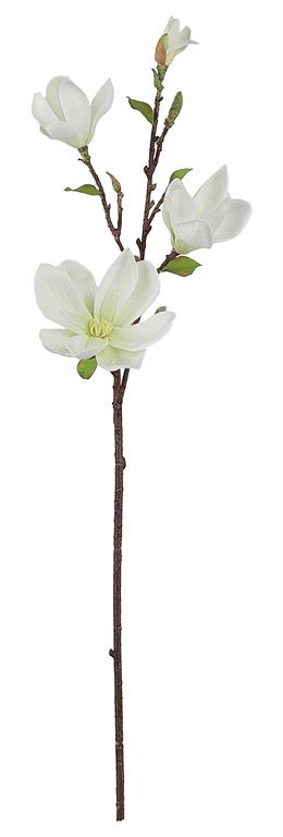 34" Cream Saucer Magnolia Spray
