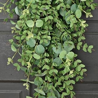 29" Mixed Eucalyptus Teardrop Greenery