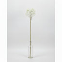 White decorative ball flower arrangement on a gray background with product code and measurements.