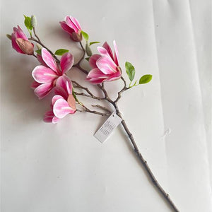 28.35" Saucer Magnolia Branch in Rubrum