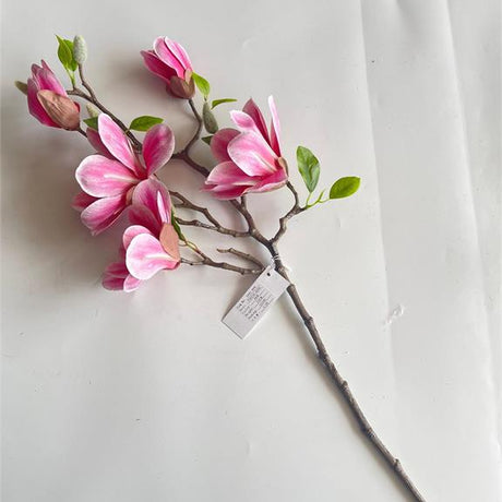 Saucer Magnolia Branch in Rubrum, additional view