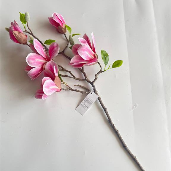 28.35" Saucer Magnolia Branch in Rubrum