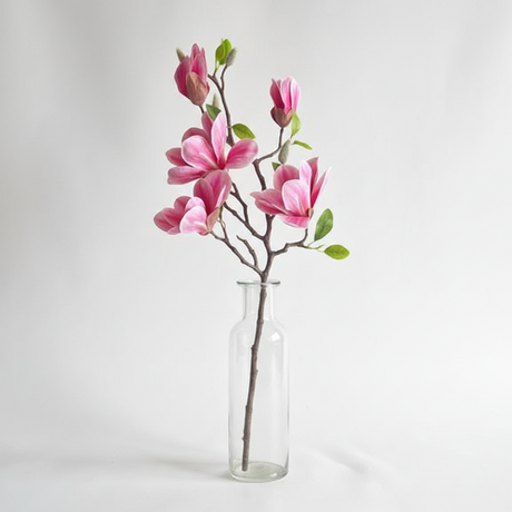 28.35 inch Saucer Magnolia Branch in Rubrum