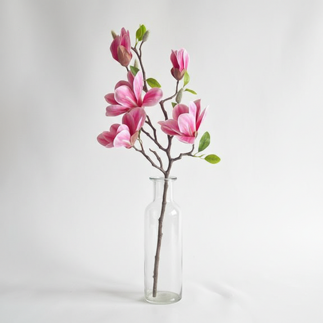 28.35" Saucer Magnolia Branch in Rubrum
