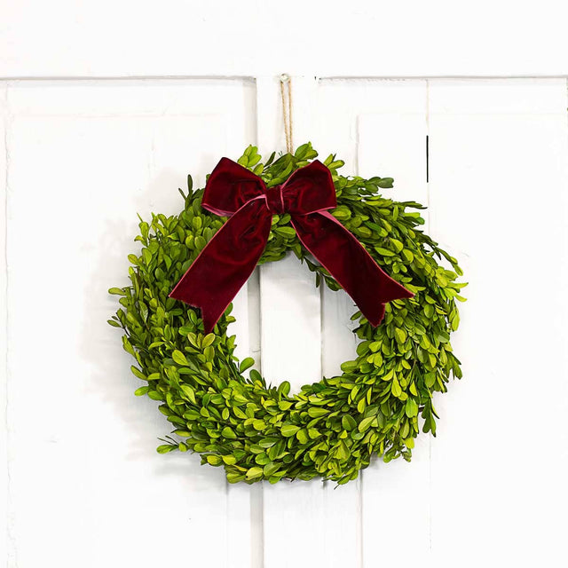 13" Green-Red Christmas Preserved Boxwood Wreath
