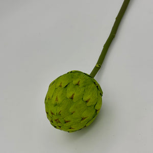 Green Artichoke Spray