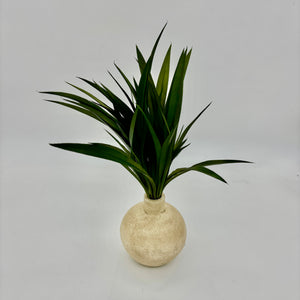 15" Dark Green Grass Bush