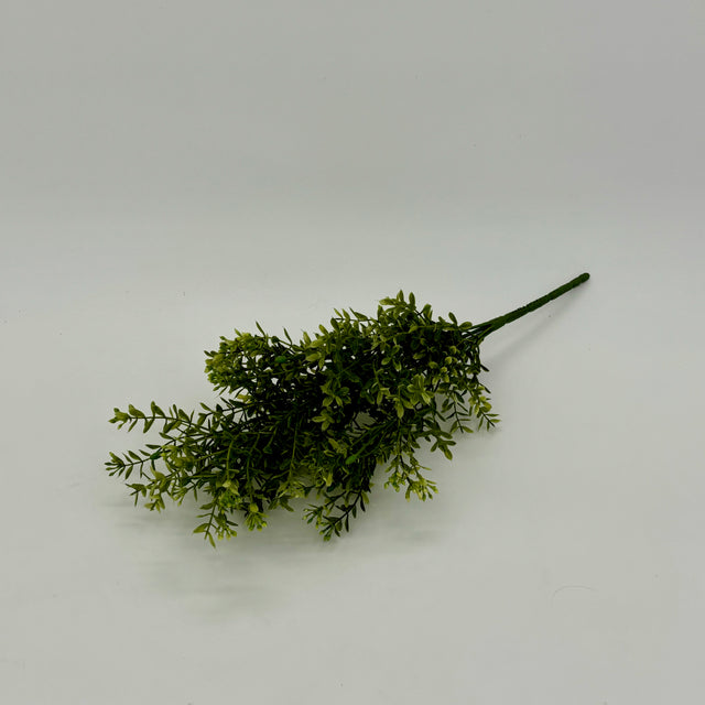Mini Boxwood Spray Light Green