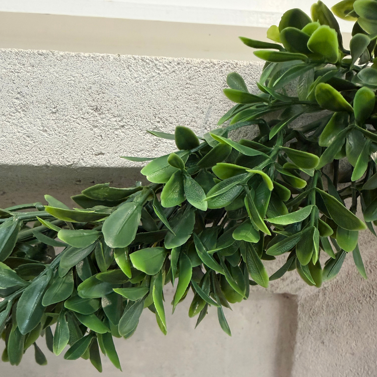 6' American Boxwood Garland | UV Treated