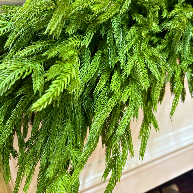 72" Deluxe Norfolk Pine  | 2 Garland Bundle