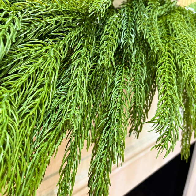 60" Forest Norfolk Pine  | 2 Garland Bundle
