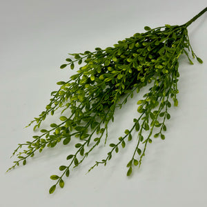 Green English Box Spray