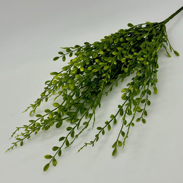 Green English Box Spray