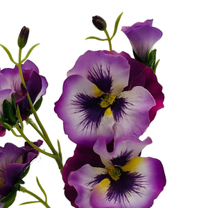 Purple and white flowers with green stems on a light gray background