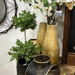 Ruffled Topiary