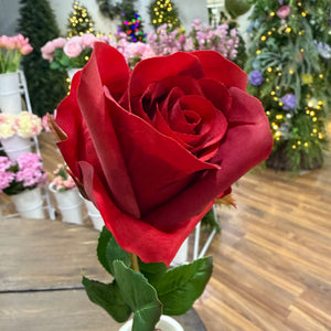 23" Just Cut Garden Red Rose Bud