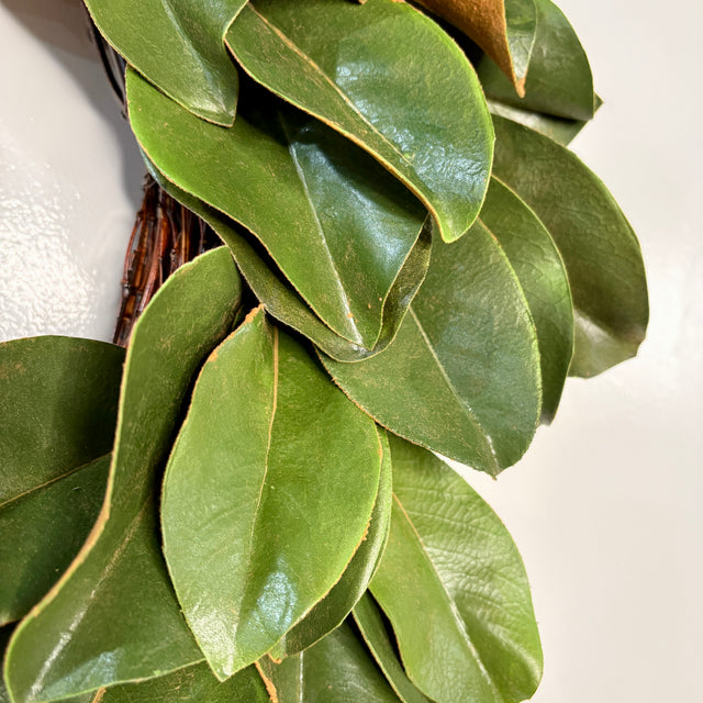 24" Magnolia Leaf Wreath
