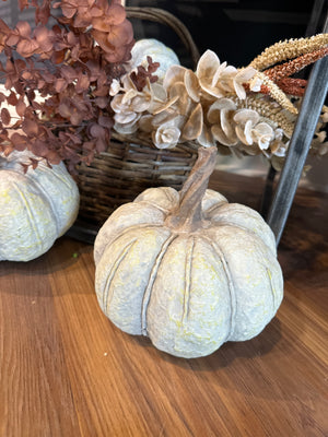 8" Cream Pumpkin