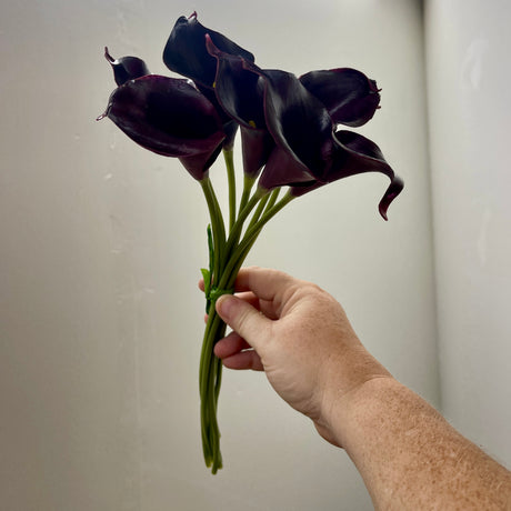 Aubergine Mini Calla Lily Bundle, Set of 8 Blooms, additional view