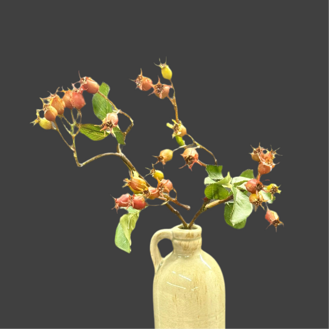 18" Rosehip Stem