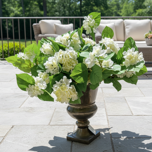 Outdoor Hydrangeas 2-Bush Bundle | White or Purple | UV Treated