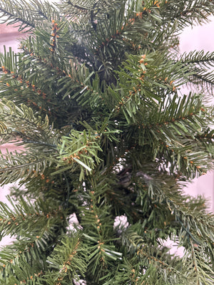 4’ Idaho Tree