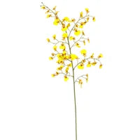 8"LX6"WX36.5"H Yellow Orchid Dancing Oncidium