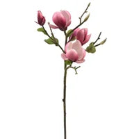7"LX5"WX20"H Fuchsia Tree Magnolia Pick