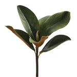 11.5" Mini Magnolia Leaf Pick