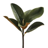 11.5" Mini Magnolia Leaf Pick