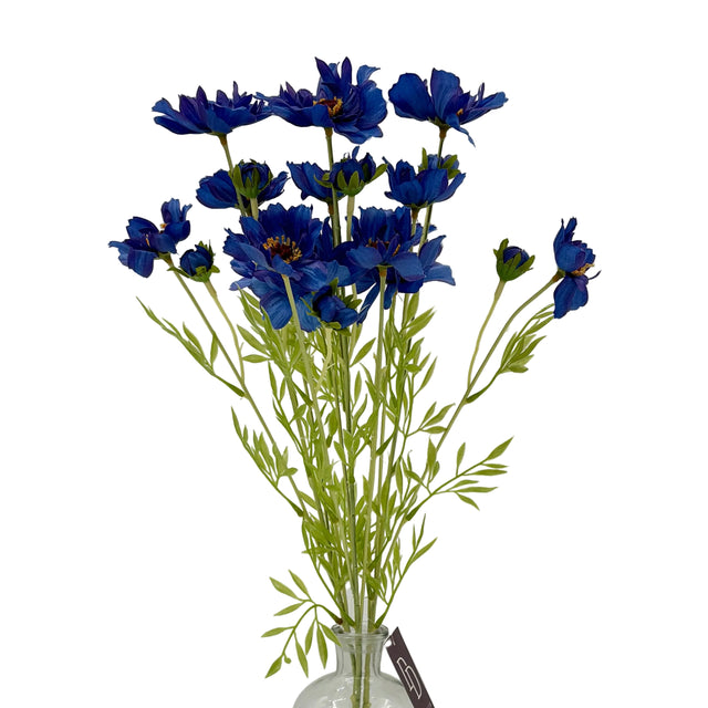 23" Blue Cosmos Bush