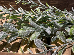23.5" Frosted Boxwood Stem