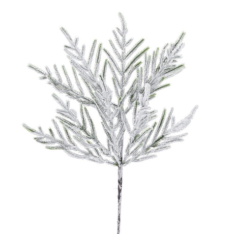 24 inch Frosted Norfolk Pine Spray