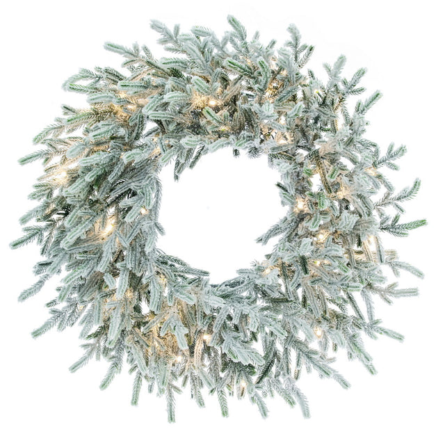 24 inch Frosted Norfolk Wreath