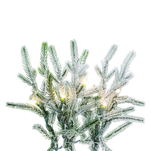Frosted Norfolk Wreath, additional view