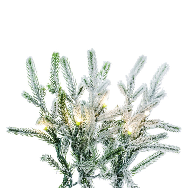 Frosted Norfolk Wreath, additional view