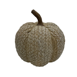 Textured beige pumpkin with a brown stem on a white background