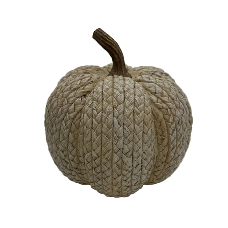 Textured beige pumpkin with a brown stem on a white background