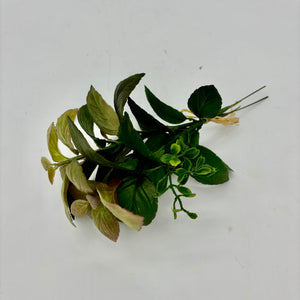11" Basil/Herb Bundle