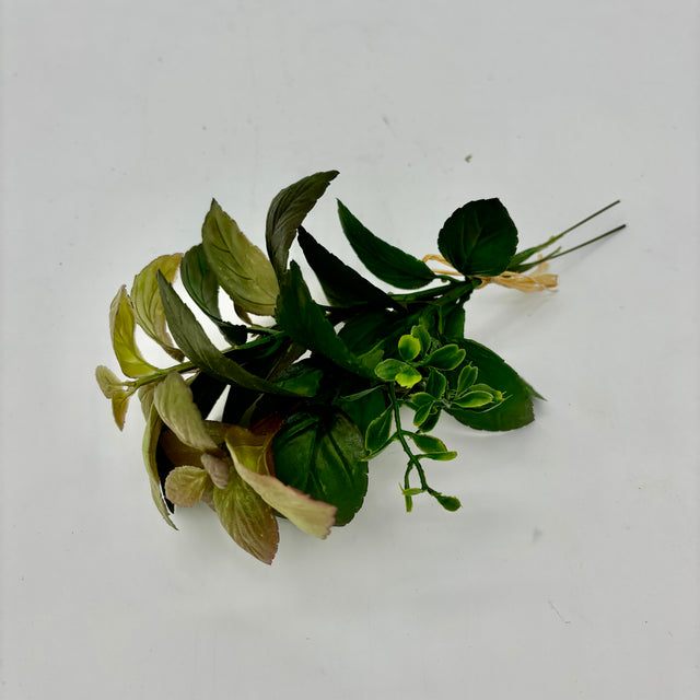 11" Basil/Herb Bundle