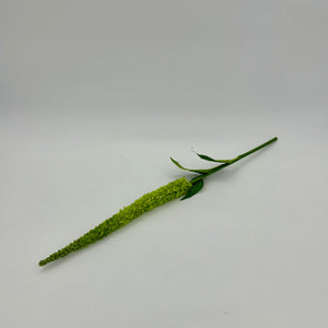 44" Green Amaranthus Stalk