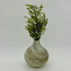 Mini Boxwood Bush Light Green