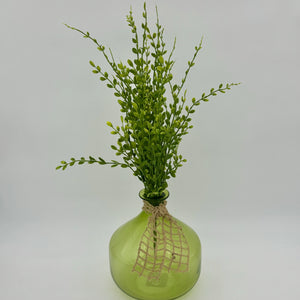Green English Box Spray