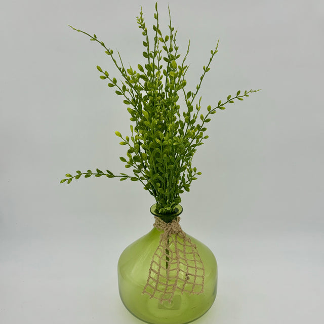 Green English Box Spray