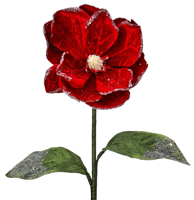 24" Red Snow Edged | Velvet Magnolia Stem