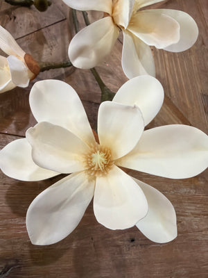 37" Natural Touch Japanese Magnolia Stem