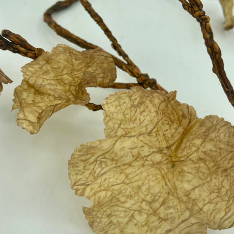 Taupe Autumn Geranium Leaf Vine, additional view
