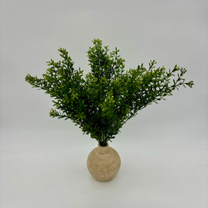 18" Mini Boxwood Dark Green Spray