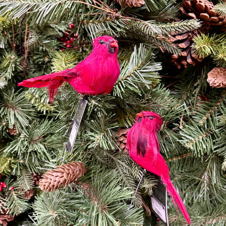 6 inch Red Cardinal Bird Ornament on Clip, Feathers