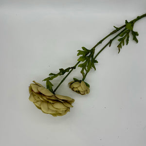 Ranunculus X1 7"x25.5"